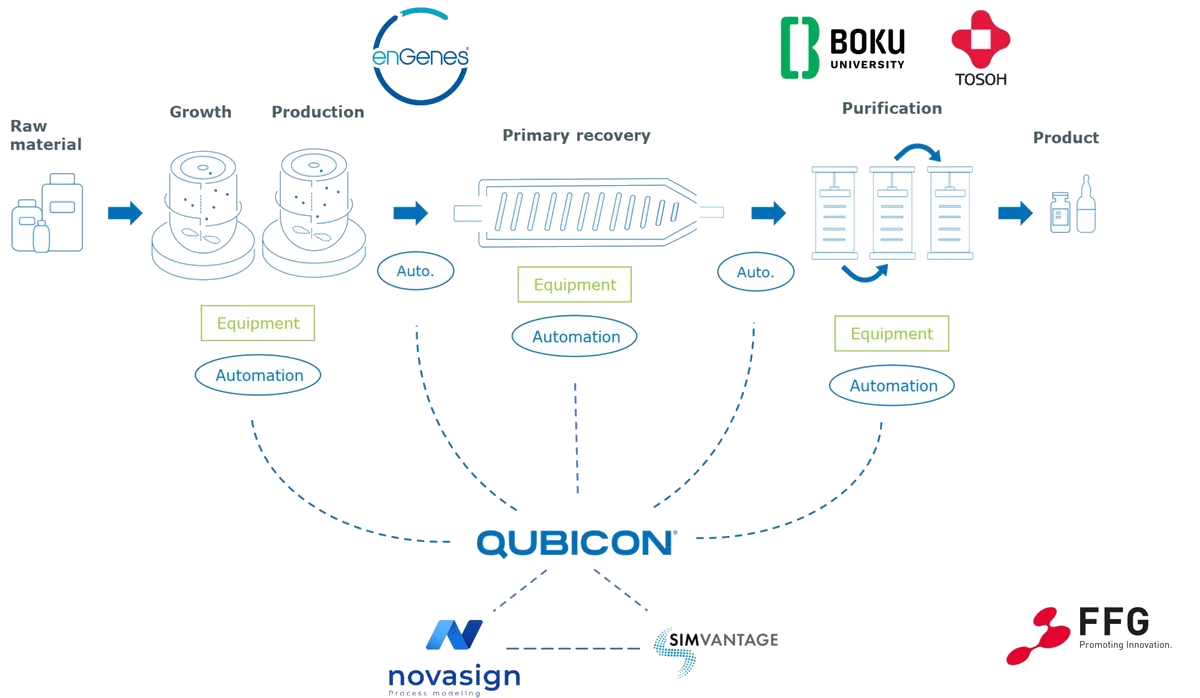 ECOnti &ndash; Digital Twin for Continuous Bioproduction, simulation result